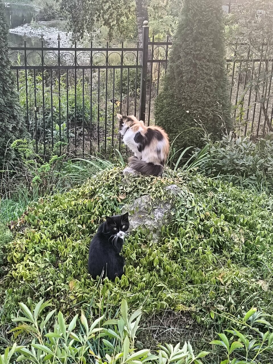 Гостиница Hotel Tula Тула-99