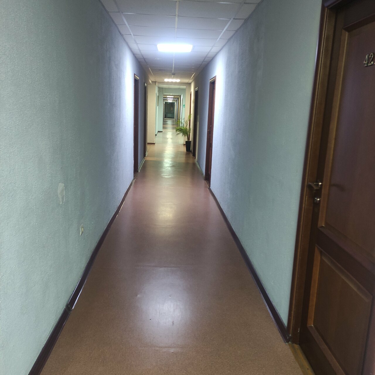 Гостиница Hotel Tula Тула-136