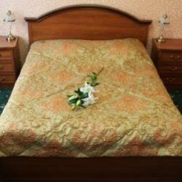 Гостиница Hotel Tula Тула-19